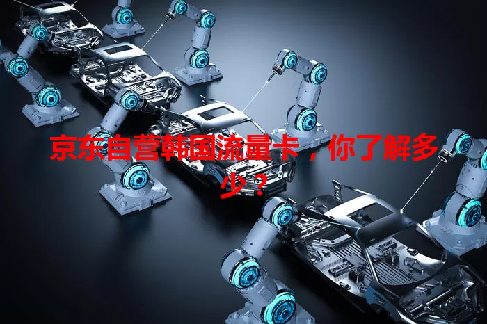 京东自营韩国流量卡,你了解多少?