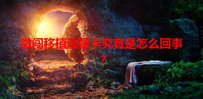 微闯移植流量卡究竟是怎么回事？
