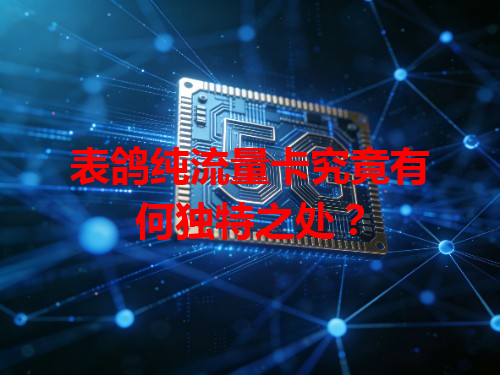 表鸽纯流量卡究竟有何独特之处？