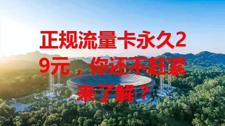 正规流量卡永久29元,你还不赶紧来了解?
