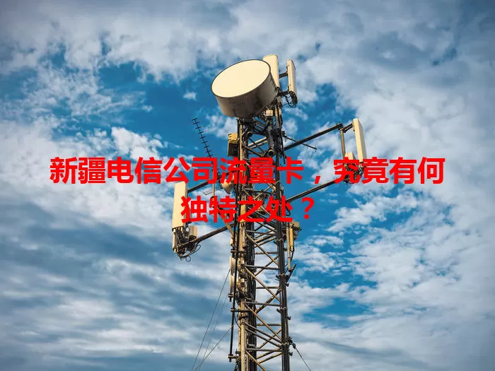 新疆电信公司流量卡,究竟有何独特之处?