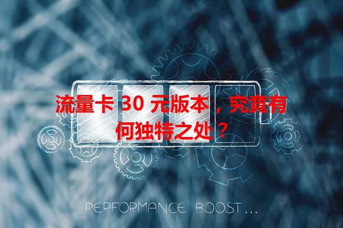 流量卡 30 元版本,究竟有何独特之处?