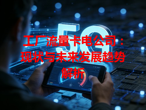 工厂流量卡电公司：现状与未来发展趋势解析