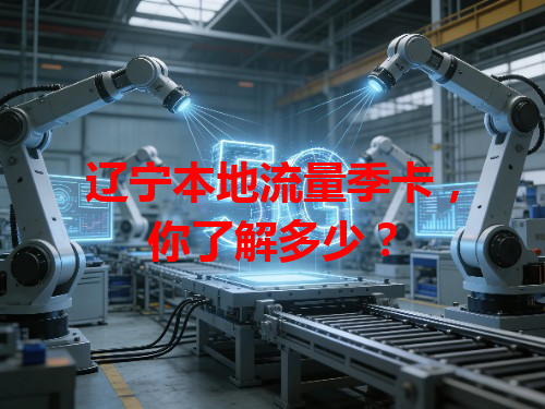 辽宁本地流量季卡，你了解多少？