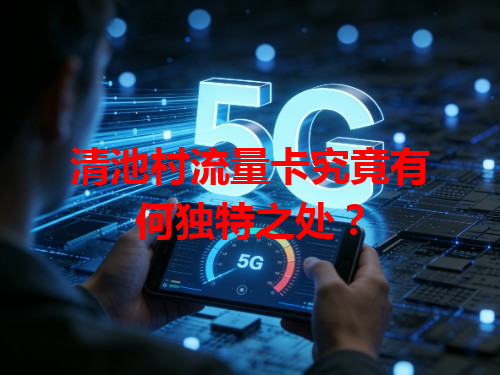 清池村流量卡究竟有何独特之处？