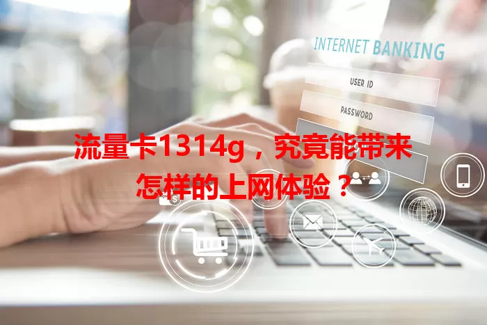 流量卡1314g,究竟能带来怎样的上网体验?