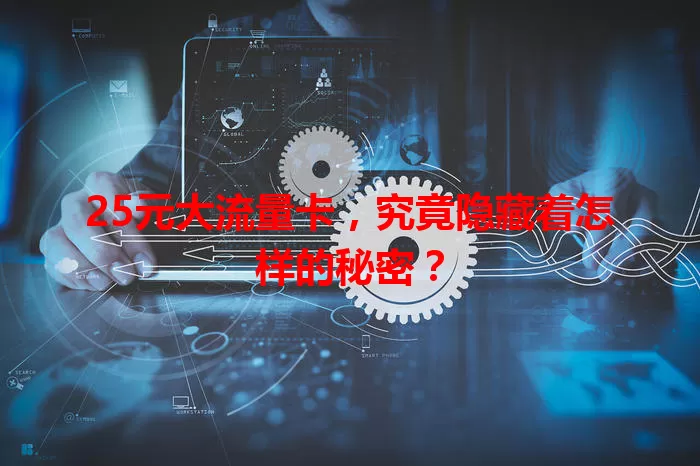 25元大流量卡,究竟隐藏着怎样的秘密?