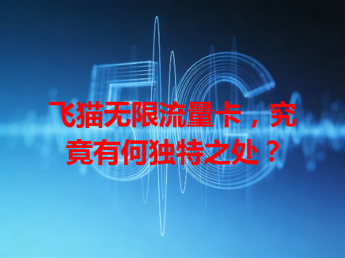 飞猫无限流量卡，究竟有何独特之处？