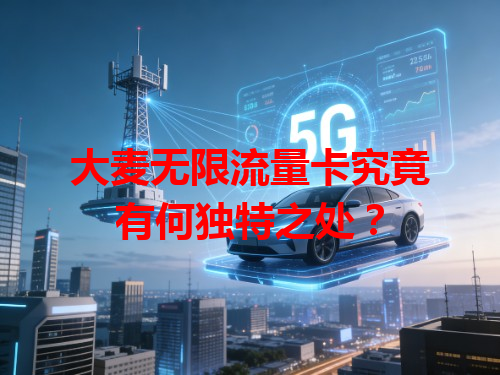 大麦无限流量卡究竟有何独特之处？