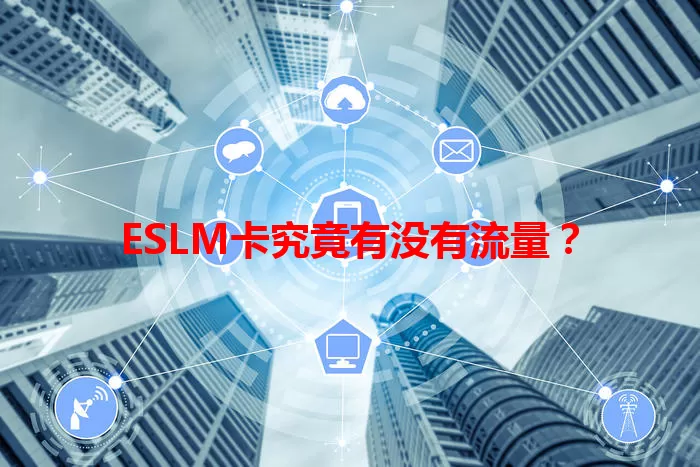 ESLM卡究竟有没有流量?