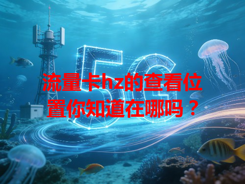 流量卡hz的查看位置你知道在哪吗？