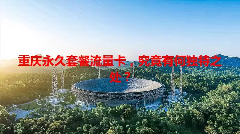 重庆永久套餐流量卡,究竟有何独特之处?
