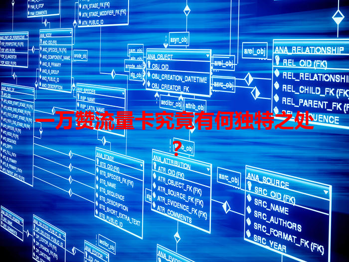 一万赞流量卡究竟有何独特之处？