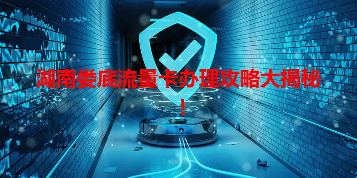湖南娄底流量卡办理攻略大揭秘!