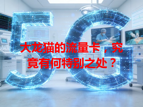 大龙猫的流量卡，究竟有何特别之处？