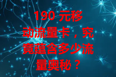 190 元移动流量卡，究竟蕴含多少流量奥秘？