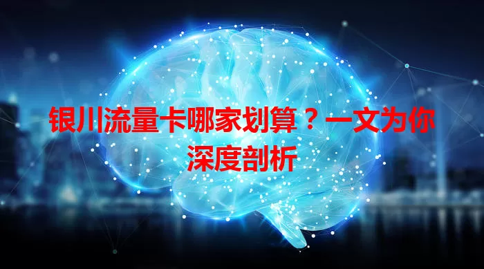 银川流量卡哪家划算?一文为你深度剖析