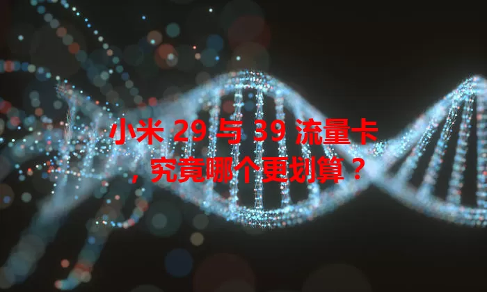 小米 29 与 39 流量卡,究竟哪个更划算?