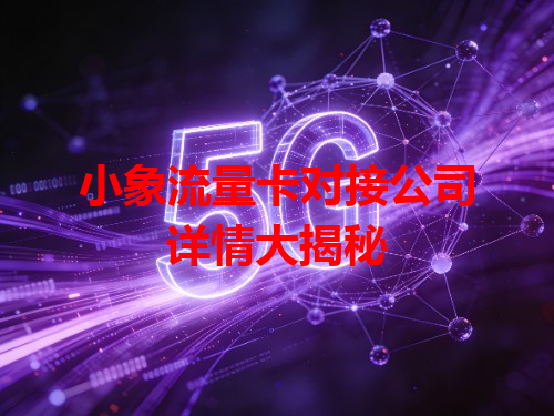 小象流量卡对接公司详情大揭秘