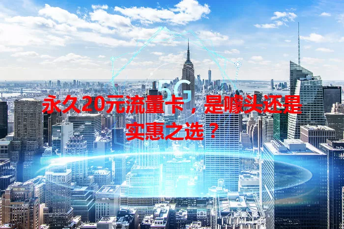永久20元流量卡,是噱头还是实惠之选?