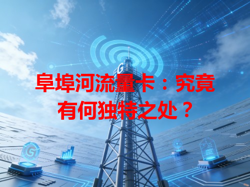 阜埠河流量卡：究竟有何独特之处？
