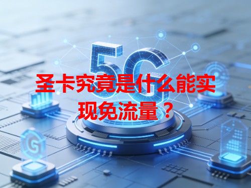 圣卡究竟是什么能实现免流量？