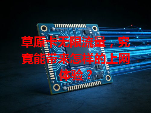 草原卡无限流量，究竟能带来怎样的上网体验？