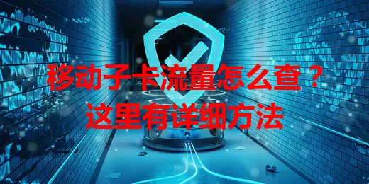 移动子卡流量怎么查?这里有详细方法