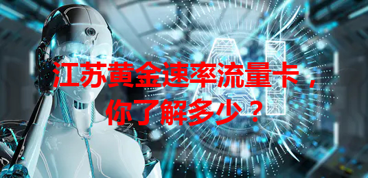 江苏黄金速率流量卡，你了解多少？