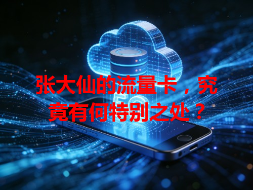 张大仙的流量卡，究竟有何特别之处？