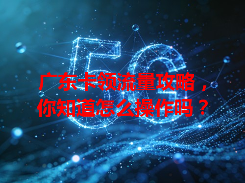 广东卡领流量攻略，你知道怎么操作吗？