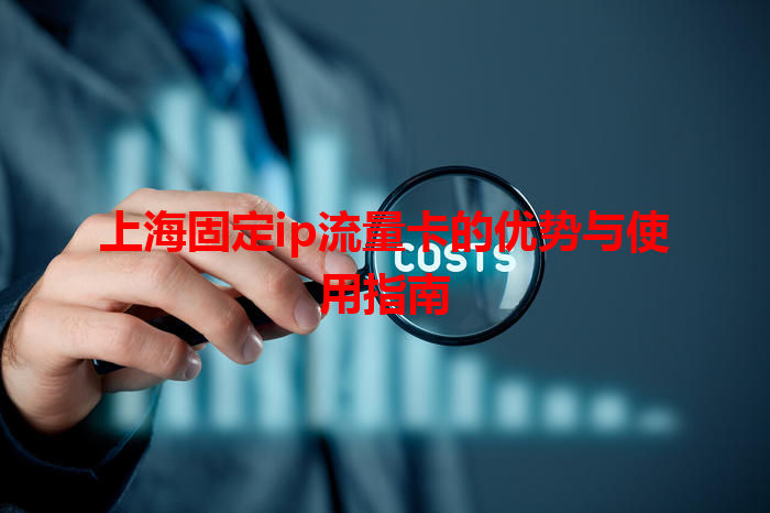 上海固定ip流量卡的优势与使用指南