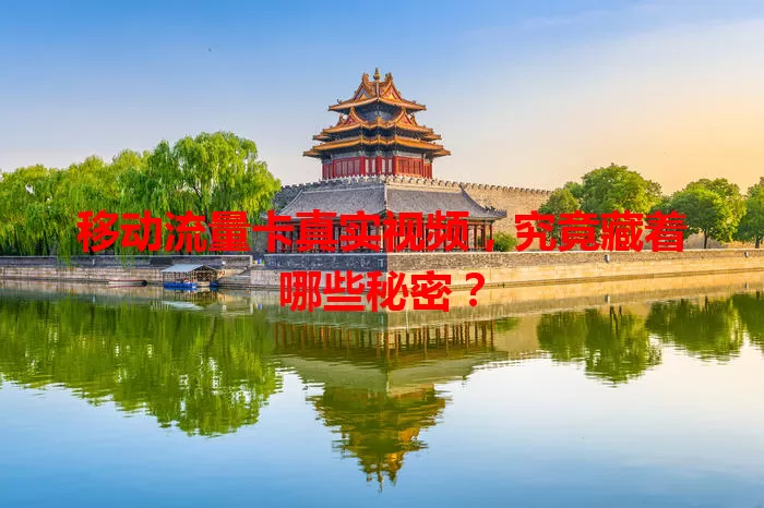 移动流量卡真实视频,究竟藏着哪些秘密?
