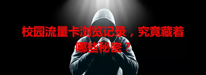 校园流量卡浏览记录,究竟藏着哪些秘密?