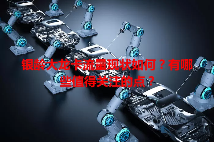 银龄大龙卡流量现状如何?有哪些值得关注的点?