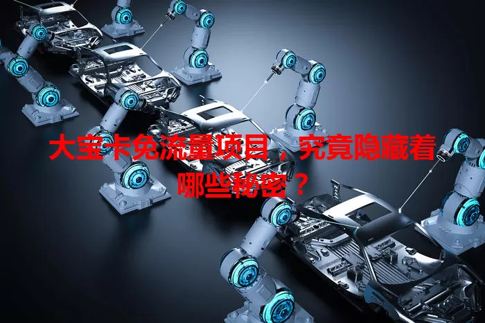 大宝卡免流量项目,究竟隐藏着哪些秘密?