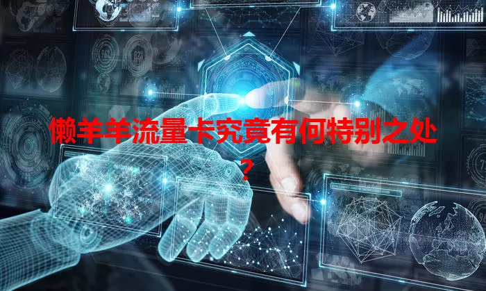 懒羊羊流量卡究竟有何特别之处?