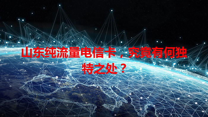 山东纯流量电信卡，究竟有何独特之处？