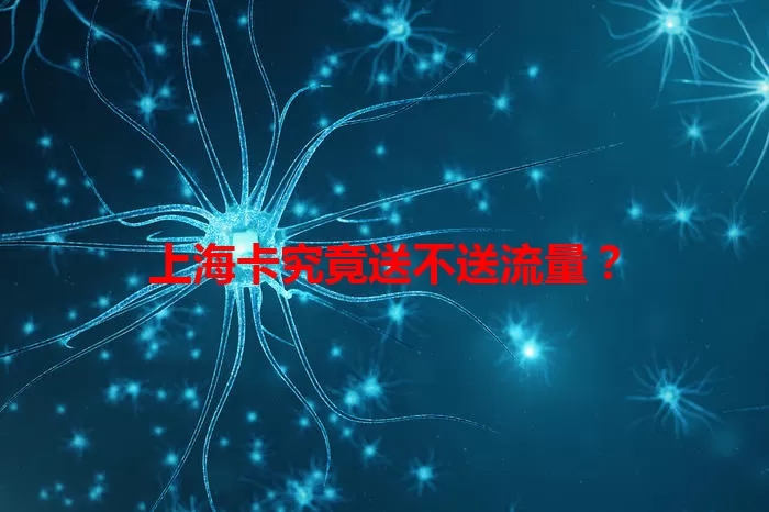 上海卡究竟送不送流量?
