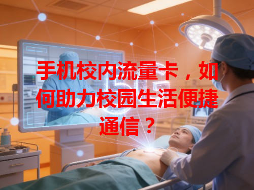 手机校内流量卡，如何助力校园生活便捷通信？