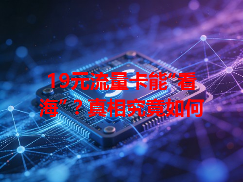 19元流量卡能“看海”？真相究竟如何