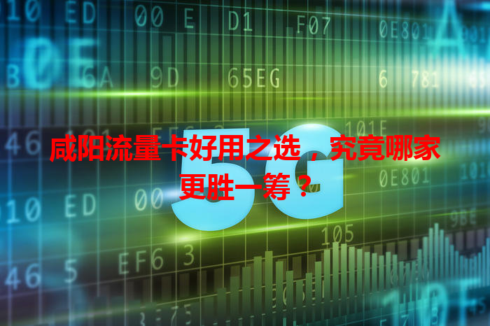 咸阳流量卡好用之选，究竟哪家更胜一筹？
