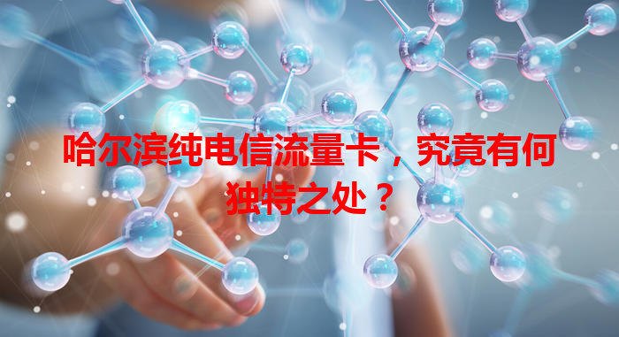 哈尔滨纯电信流量卡，究竟有何独特之处？
