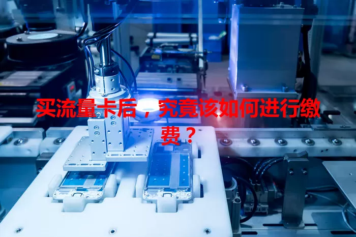 买流量卡后,究竟该如何进行缴费?