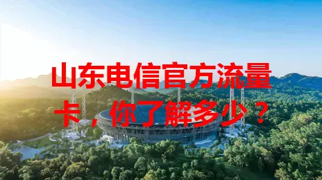 山东电信官方流量卡,你了解多少?