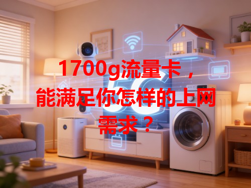 1700g流量卡，能满足你怎样的上网需求？