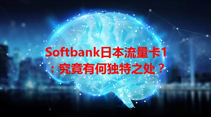 Softbank日本流量卡1:究竟有何独特之处?