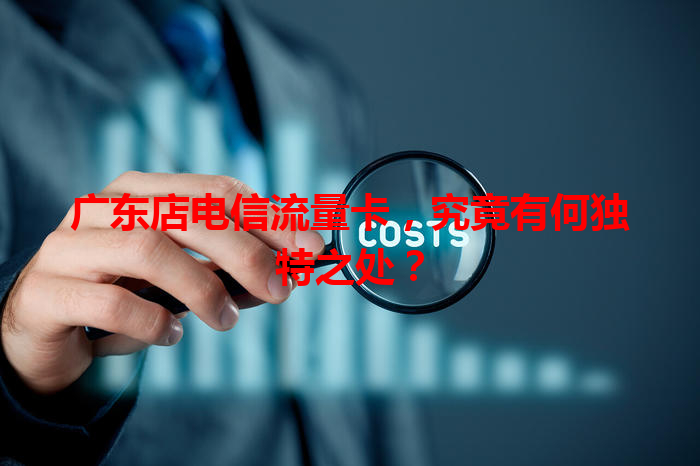 广东店电信流量卡，究竟有何独特之处？