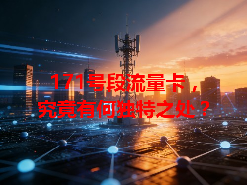 171号段流量卡，究竟有何独特之处？