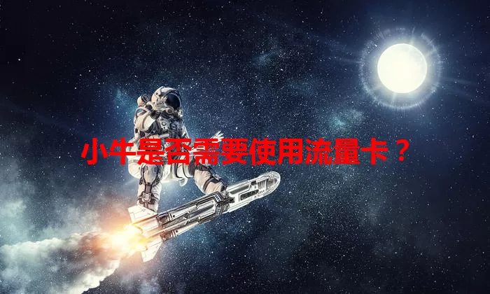 小牛是否需要使用流量卡?